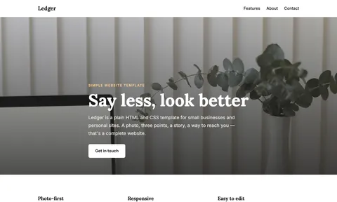 Ledger template preview